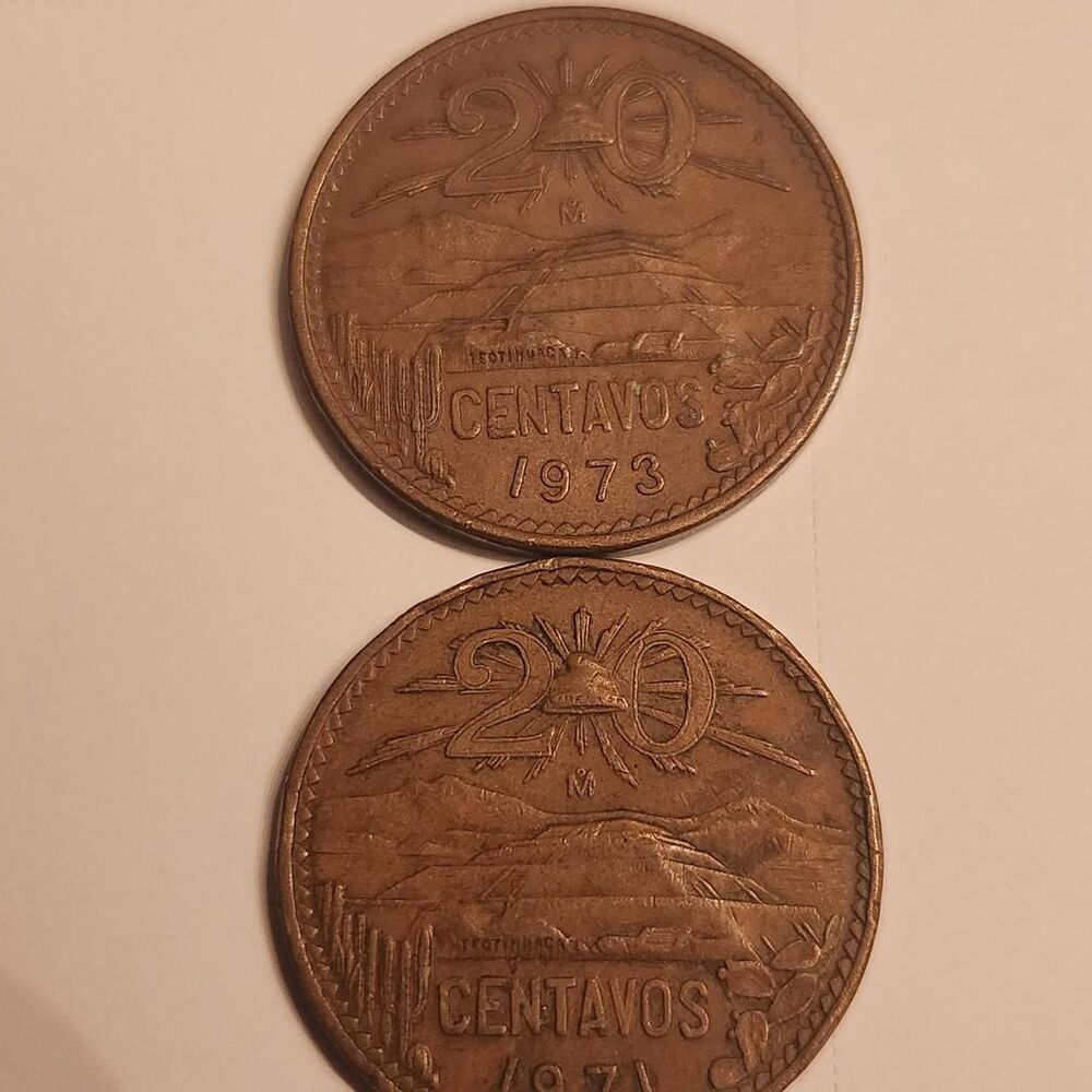 Palace Brown Collectibles